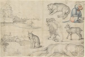 Schetsen van Dieren en Landschappen, 1521 door Albrecht Dürer