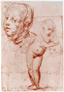 Studies, 1913 door Albrecht Dürer