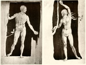 Studies van Adam en Eva door Albrecht Dürer