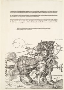  door Albrecht Dürer