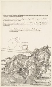  door Albrecht Dürer