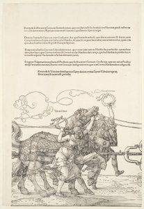  door Albrecht Dürer