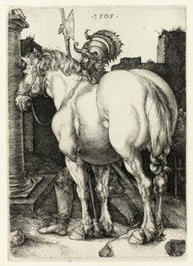 Het Grote Paard