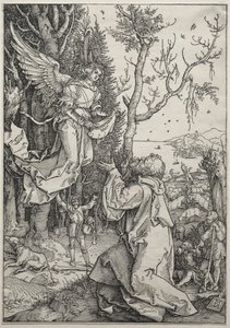 Het Leven van de Maagd: Joachim en de Engel door Albrecht Dürer