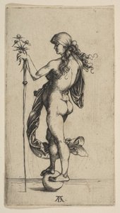 Het kleine fortuin door Albrecht Dürer
