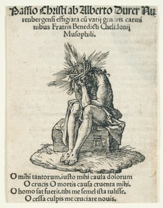  door Albrecht Dürer