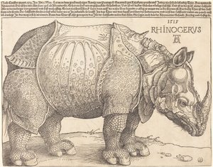 De neushoorn door Albrecht Dürer