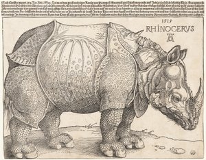  door Albrecht Dürer
