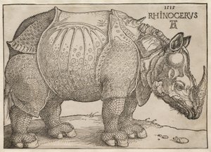  door Albrecht Dürer