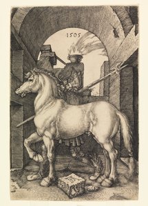 Het kleine paard