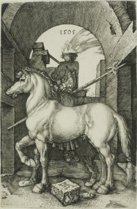 Het kleine paard