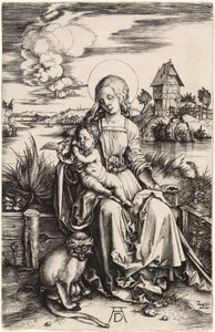De Maagd en het Kind met de Aap door Albrecht Dürer