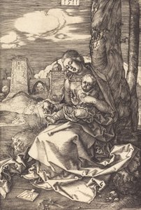 De Maagd en het Kind met de Peer, 1511 door Albrecht Dürer