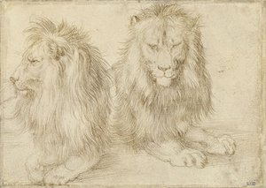 Twee zittende leeuwen door Albrecht Dürer