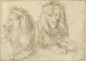 Twee zittende leeuwen, 1521 door Albrecht Dürer