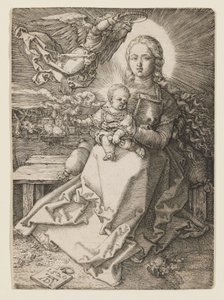  door Albrecht Dürer