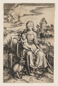  door Albrecht Dürer