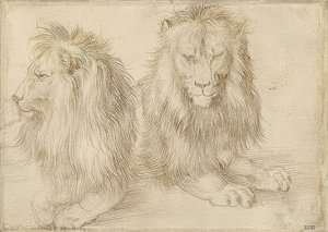 Twee liggende leeuwen. 1521 door Albrecht Dürer