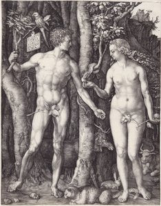 Adam en Eva door Albrecht Dürer