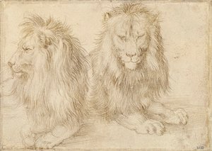 Twee zittende leeuwen door Albrecht Dürer