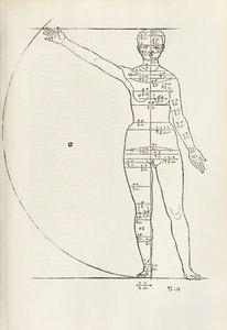 Vrouwelijke anatomische houtsnede uit 
