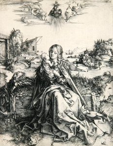 Madonna met een libel (gravure)