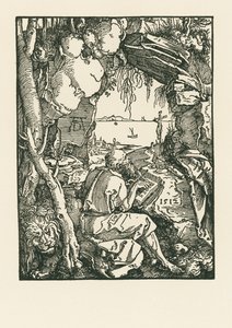 Hiëronymus in de grot door Albrecht Dürer or Duerer