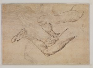 Studie van een linkerbeen vanuit twee gezichtspunten door Albrecht Dürer