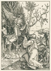 De engel die Joachim de boodschap brengt, c.1504 (houtsnede) door Albrecht Dürer or Duerer