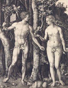De val van de mens door Albrecht Dürer door Albrecht Dürer