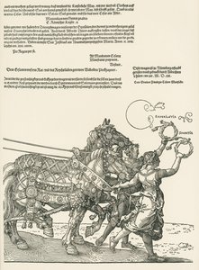 De grote triomfwagen door Albrecht Dürer or Duerer
