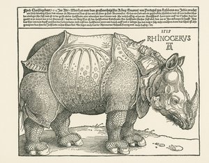 De neushoorn door Albrecht Dürer or Duerer