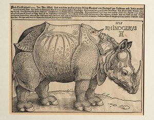 De neushoorn door Albrecht Dürer or Duerer