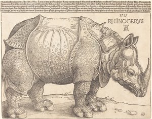De neushoorn door Albrecht Dürer