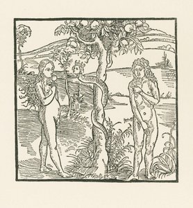 De val. Illustratie bij " Der Ritter von Turn " , c.1493-93 (houtsnede) door Albrecht Dürer or Duerer