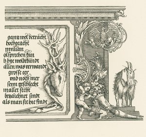 Triomfboog voor keizer Maximiliaan I door Albrecht Dürer or Duerer