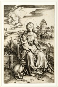 Maagd en Kind met Aap door Albrecht Dürer