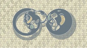 Samenvatting: Feline Infinity door Alejandra Winkhaus