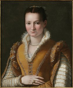 door Alessandro Allori