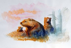 Natuurlijke berenfamilie