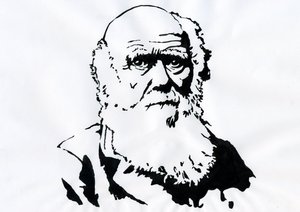 Portret van Charles Darwin - Portret van de Engelse natuuronderzoeker Charles Darwin (1809-1882) door Alessandro Lonati