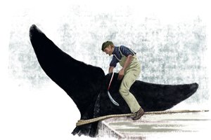 Walvisboot snijdt de staart van een walvis af door Alessandro Lonati