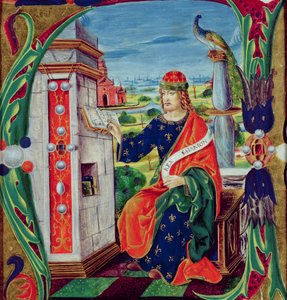 Geïllustreerde initiaal 