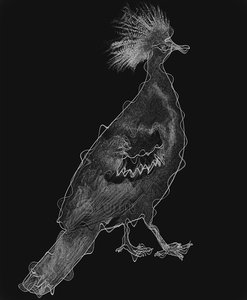 Vogel IV