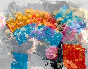 Regenboog