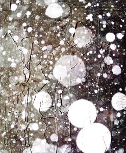 Sneeuw door Alex Caminker