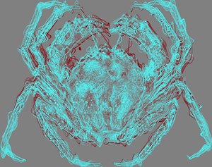 Krab door Alex Caminker