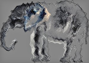 Olifant, 2020