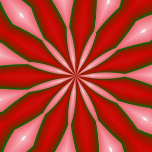 bloemen #3, 2019 door Alex Caminker
