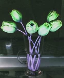 lichtbreking